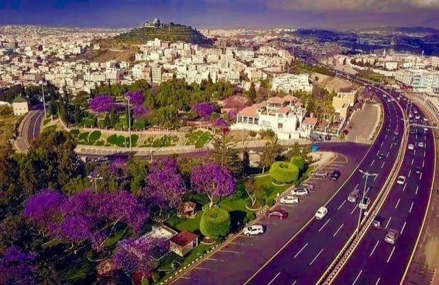 خدمات النقل في المدن - برية للنقليات
